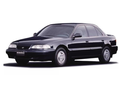 Ворсовые коврики на Hyundai Sonata 3 (Y3) 1993 - 1998 в Саратове