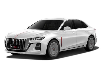 Ворсовые коврики на Hongqi H5 II 2022 - 2025 в Саратове