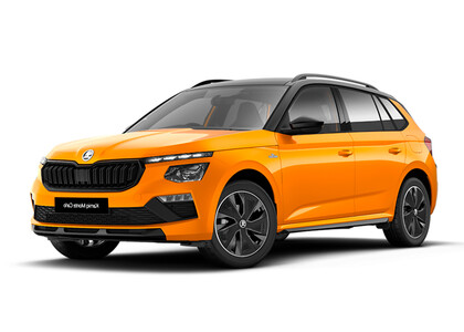 Ворсовые коврики на Skoda Kamiq (Европа) 2019&nbsp;-&nbsp;2026 в Саратове
