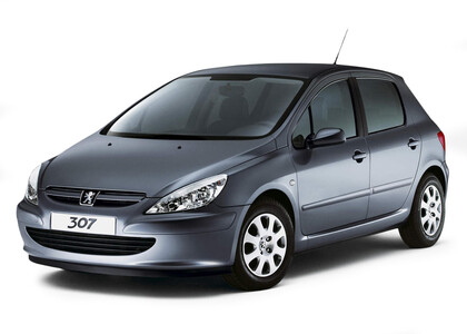 Ворсовые коврики на Peugeot 307 2001 - 2008 в Саратове