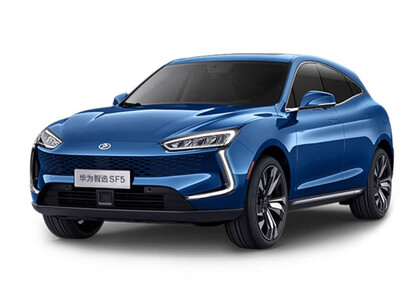 Коврики на Seres SF5 2019&nbsp;-&nbsp;2022 в Саратове