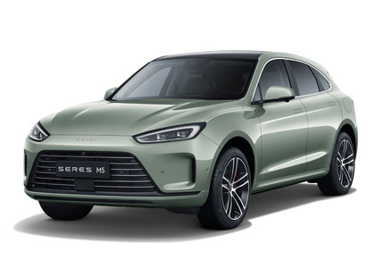 Ворсовые коврики на Seres M5 2021 - 2025 в Саратове