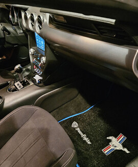 Ворсовые коврики на Ford Mustang VI 2013 - 2023 в Саратове Ворсовые коврики на Ford Mustang VI 2013 - 2023 в Саратове
