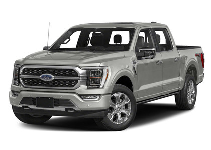 Ворсовые коврики на Ford F150 2020 - 2025 в Саратове