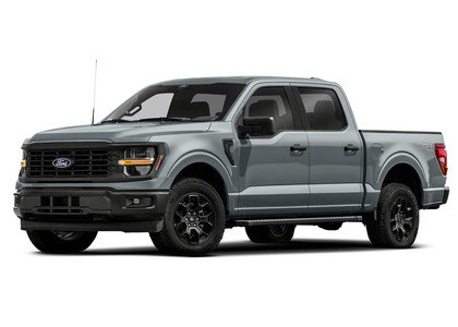 Ворсовые коврики на Ford F150 2020 - 2025 в Саратове