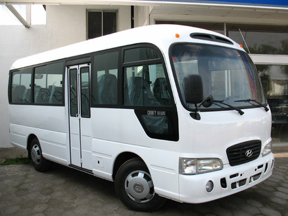 Ворсовые коврики на Hyundai County 2006 - 2016 в Саратове