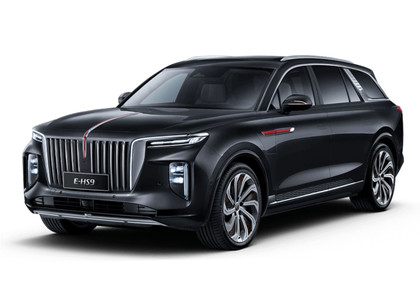 Ворсовые коврики на Hongqi E-HS9 2022 - 2025 в Саратове