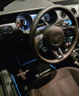 Ворсовые коврики на Ford Mustang VI 2013 - 2023 в Саратове Ворсовые коврики на Ford Mustang VI 2013 - 2023 в Саратове