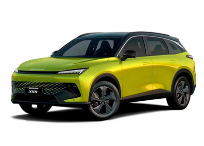 Ворсовые коврики на Baic X55 2022 - 2025 в Саратове