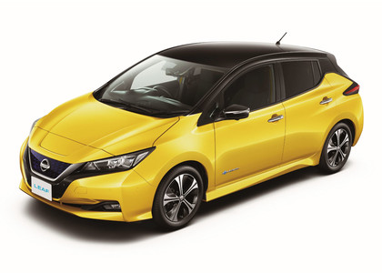 EVA коврики на Nissan Leaf (ZE1) 2017 - 2025 в Саратове