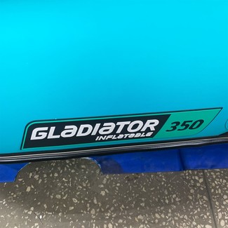 Ворсовые коврики на Лодки Gladiator E350S  в Саратове