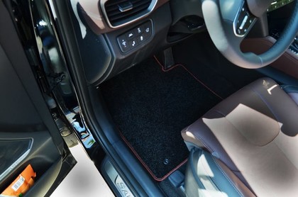 Ворсовые коврики на Hyundai Santa Fe IV 2018 - 2021 в Саратове