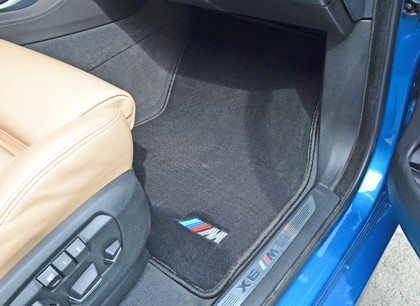 Ворсовые коврики на BMW X6 (F16) 2014 - 2019 в Саратове