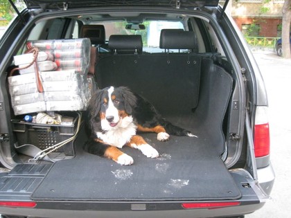 EVA коврики на BMW X5 (E53) 1999 - 2006 в Саратове